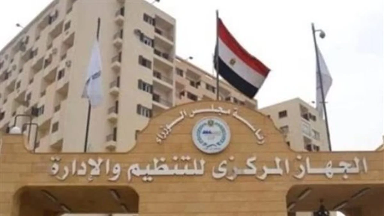 بشري 100%.. خريطة توزيع الوظائف الحكومية الجديدة في المحافظات والجهاز الإداري للدولة
